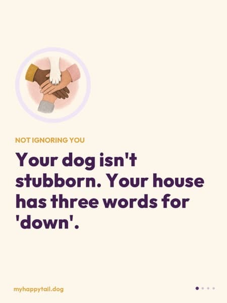 Post: same words, same rules for the whole family