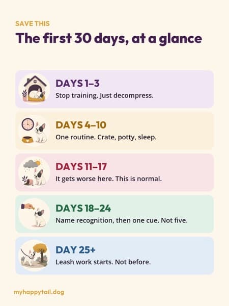 Post: the five stages at a glance